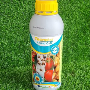 Tecnokel Amino CaB Fertilizer