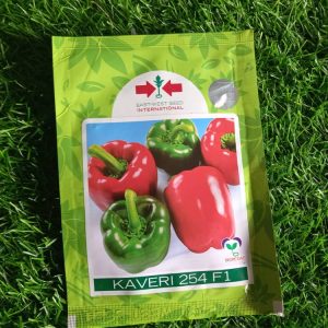 KAVERI 254 F1 Pepper Seed